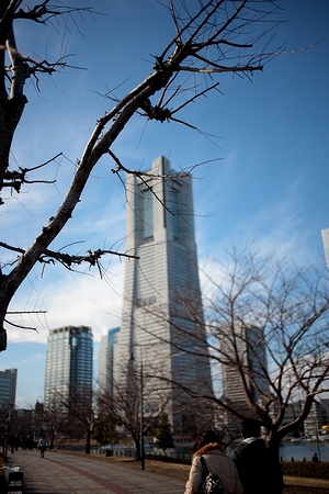 b0155903_1002012.jpg