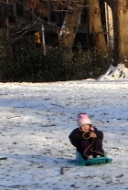 雪のセントラルパーク名物 ソリ_b0007805_1693592.jpg