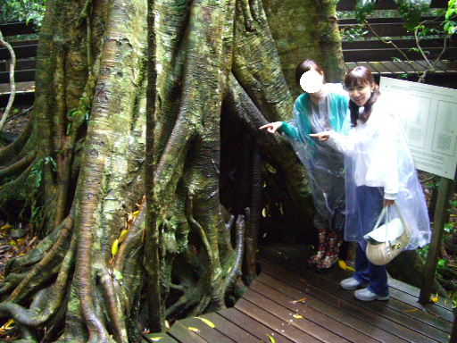 c0110906_1445659.jpg