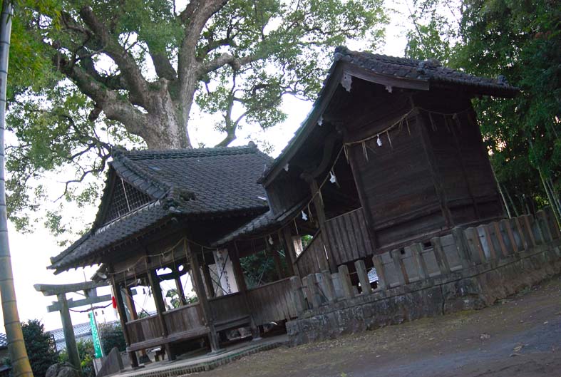 b0147808_1718518.jpg