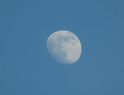 e0020210_2254959.jpg