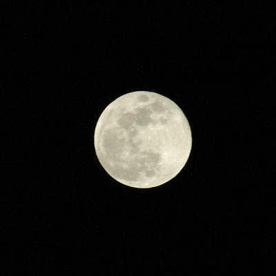 e0020210_225759.jpg