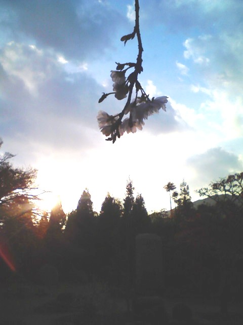 f0023210_045897.jpg