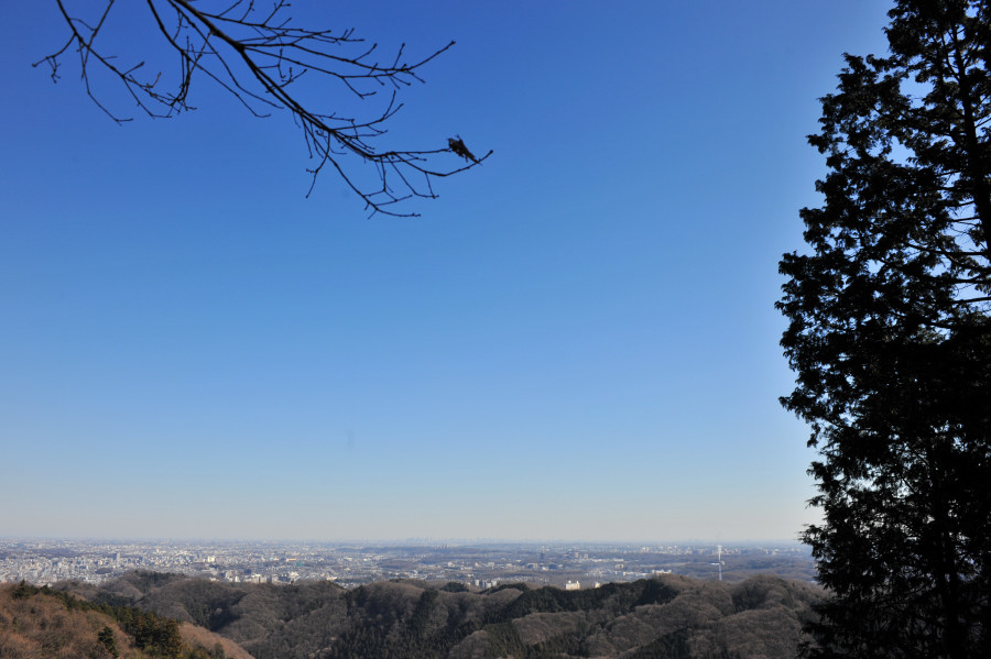 今年始めての高尾山_a0094711_22465386.jpg