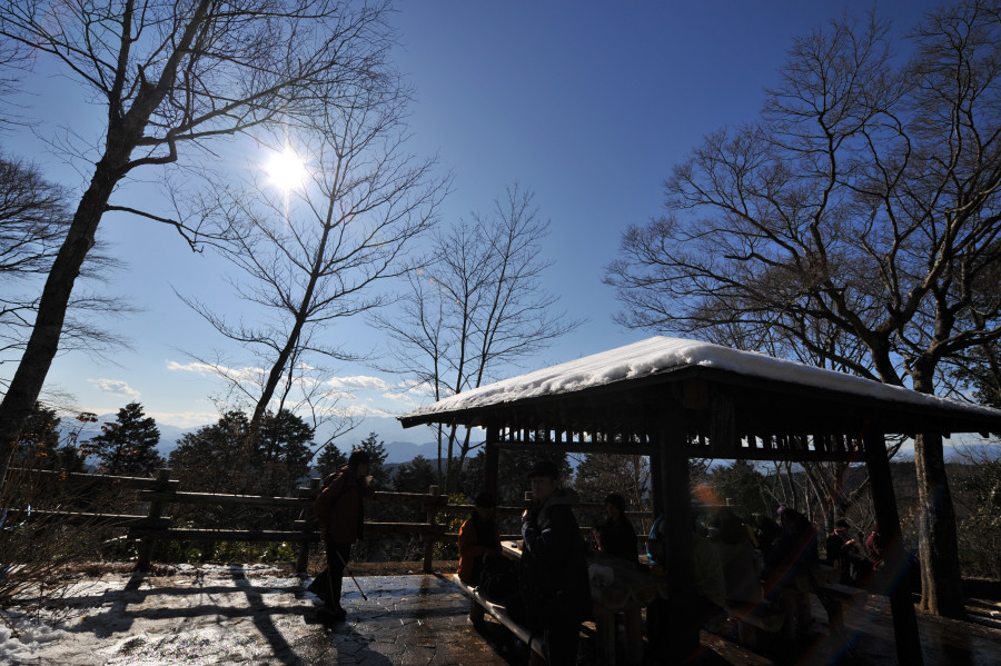 今年始めての高尾山_a0094711_22473080.jpg