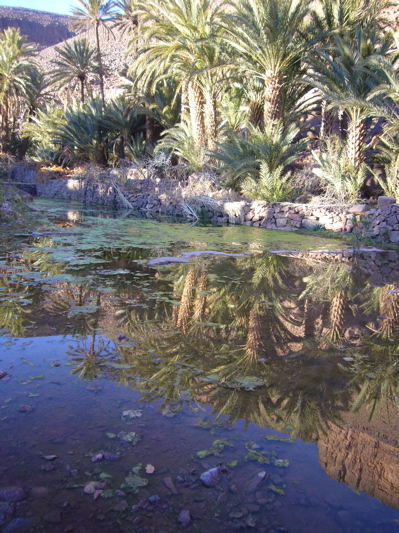 c0167813_5262954.jpg
