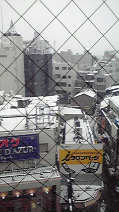 吹雪。。。_d0101515_17501.jpg