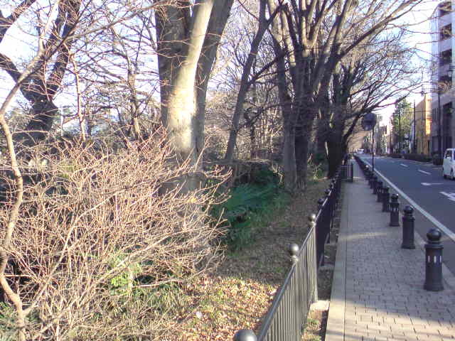 T\'sストーブコレクションin三鷹_f0113727_68919.jpg