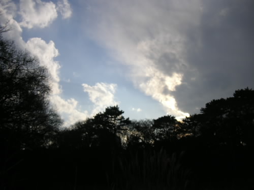 都会のオアシス しろがねの森_c0048132_16444898.jpg