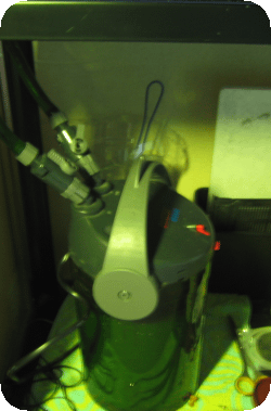 c0196632_154139.gif