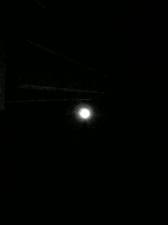 e0145332_0553950.jpg