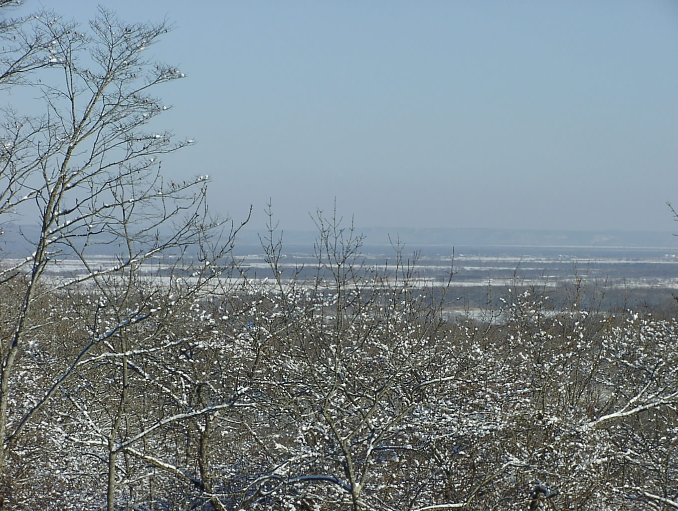 雪の花　　1月12日_f0113639_1315199.jpg