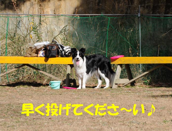 c0147241_1142820.jpg