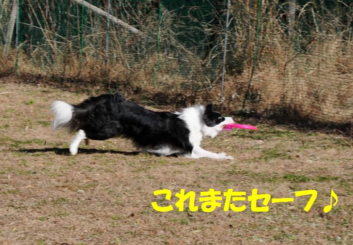 c0147241_1144320.jpg