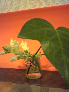 c0180841_530149.jpg
