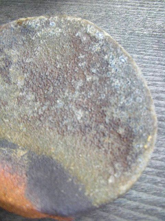 b0132444_16515658.jpg