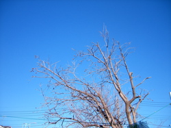 c0141844_02833.jpg