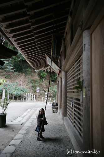 とっておき牡蠣料理ととっておきのお寺〜室生寺〜_c0024345_11424.jpg