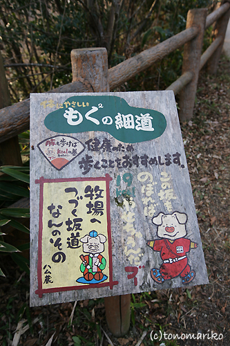 もくもくワールド_c0024345_1422312.jpg