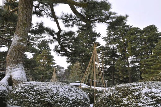 兼六園、09.1(Ⅴ)_c0093046_6234011.gif