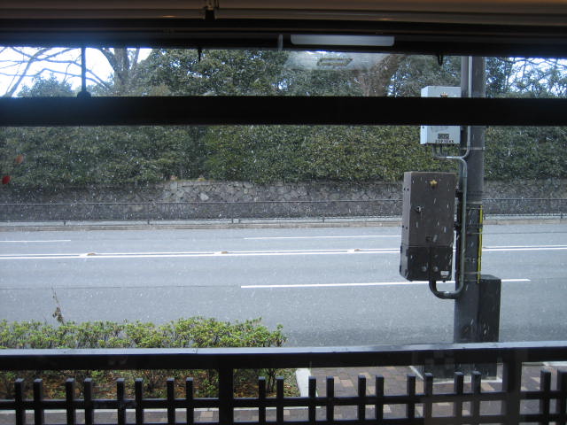 息子たちの成人式。_f0181251_1884737.jpg
