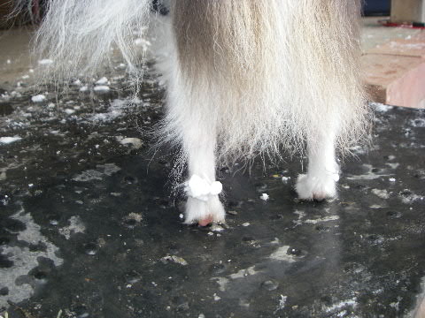 b0137459_0631.jpg