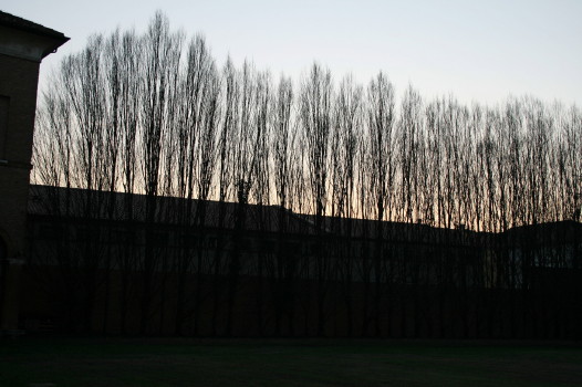 f0077159_6103850.jpg