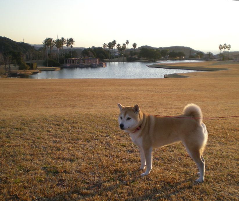 ２００９年１月１２日（月）成人の日には・・・・・_f0060461_13552318.jpg