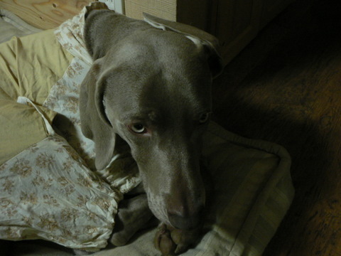 f0065568_19521193.jpg