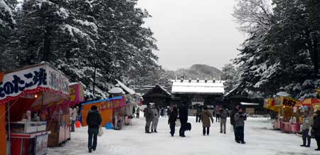 円山公園探鳥会_f0083977_22181933.jpg