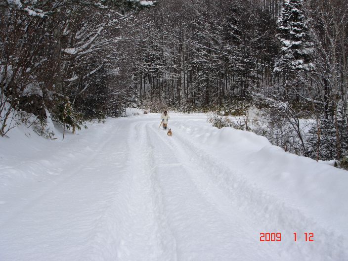 f0124378_22594191.jpg