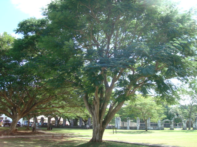 f0062680_20575392.jpg