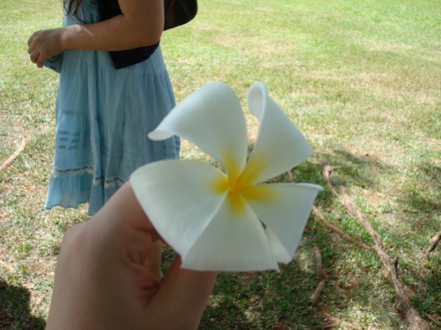 f0062680_2123252.jpg