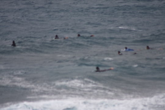 b0115085_20265810.jpg