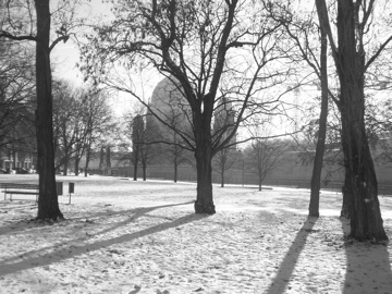 c0180686_8194772.jpg