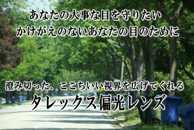 目にここちいいレンズ・TALEX(タレックス)_c0003493_19175076.jpg