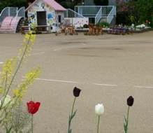 f0146198_200024.jpg