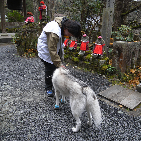 12月3日 おへんろ23日め♪ by GX100_c0049299_19212263.jpg