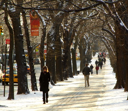 雪景色のセントラルパーク_b0007805_1261622.jpg