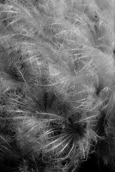f0155808_1101126.jpg