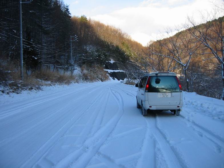 １/１３　　　やっと雪が・・・_a0109912_22473078.jpg