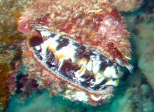 天気晴朗なれど波高し_a0043520_22442528.jpg