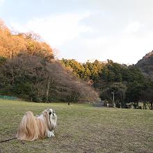 c0028424_0371713.jpg