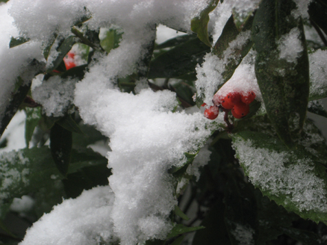 c0038424_8242393.jpg
