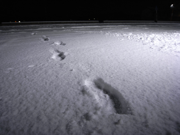 f0137626_20541566.jpg