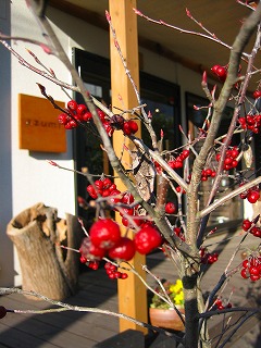 冬の公園とミノムシ君と土鍋_b0100229_152014100.jpg