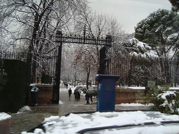 e0120938_042385.jpg