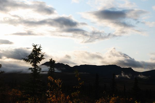 e0098241_20234820.jpg