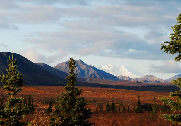 e0098241_20291287.jpg
