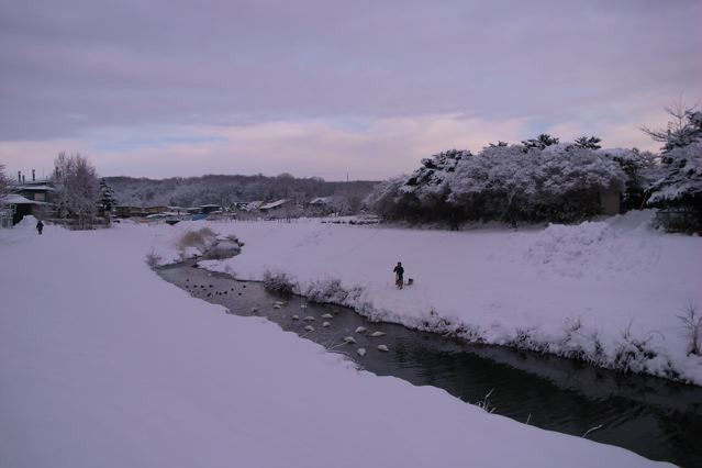 c0184643_2159946.jpg
